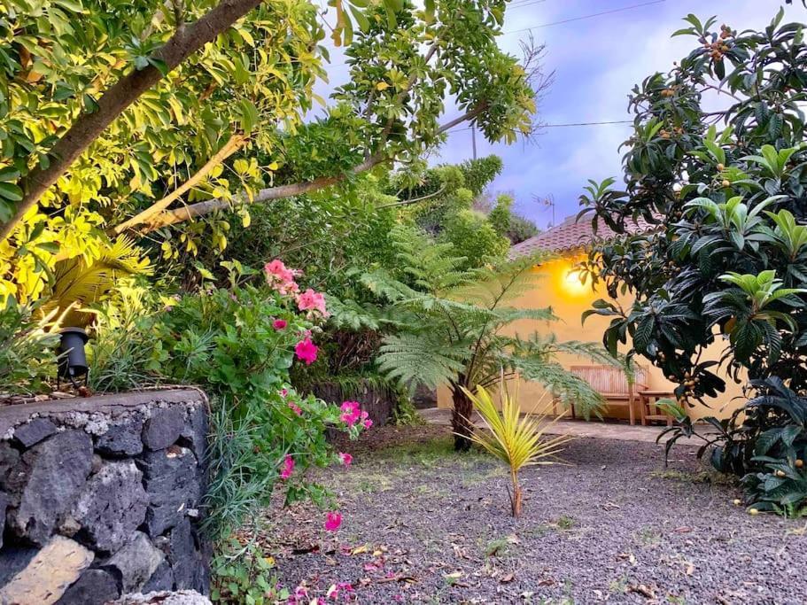 Rustic House La Montana Villa Breña Baja Exteriör bild