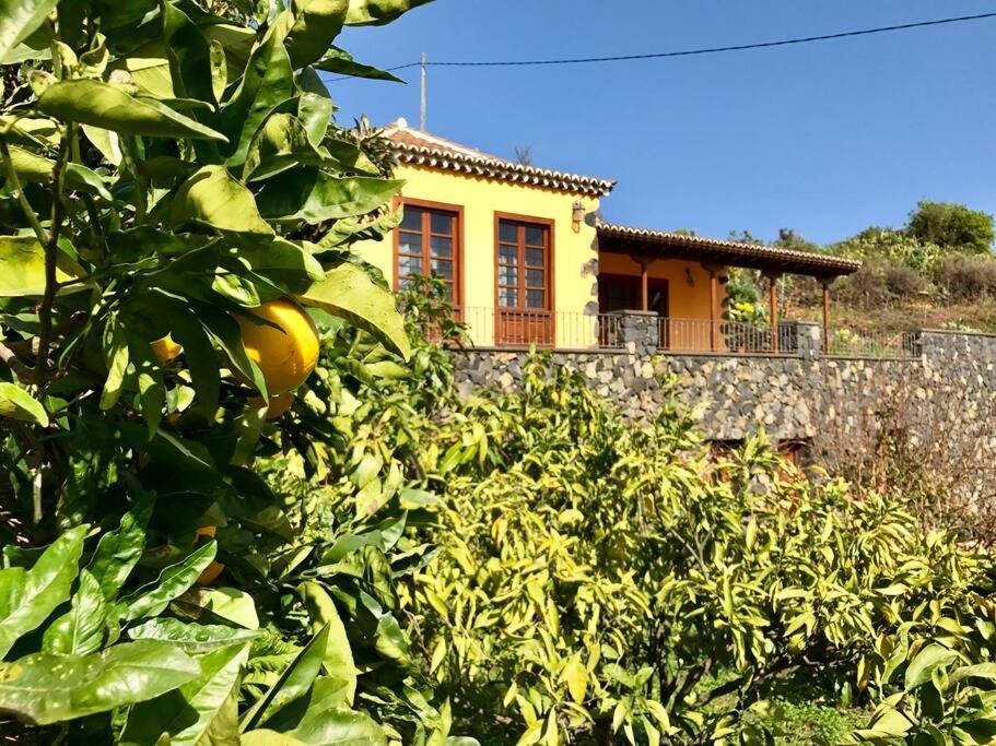 Rustic House La Montana Villa Breña Baja Exteriör bild